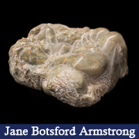 Jane Botsford Armstrong